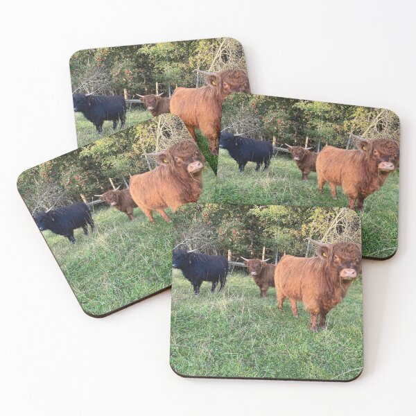 Item preview, Scottish Highland Cattle Calves 2974 designed and sold by SaarelaHighland.