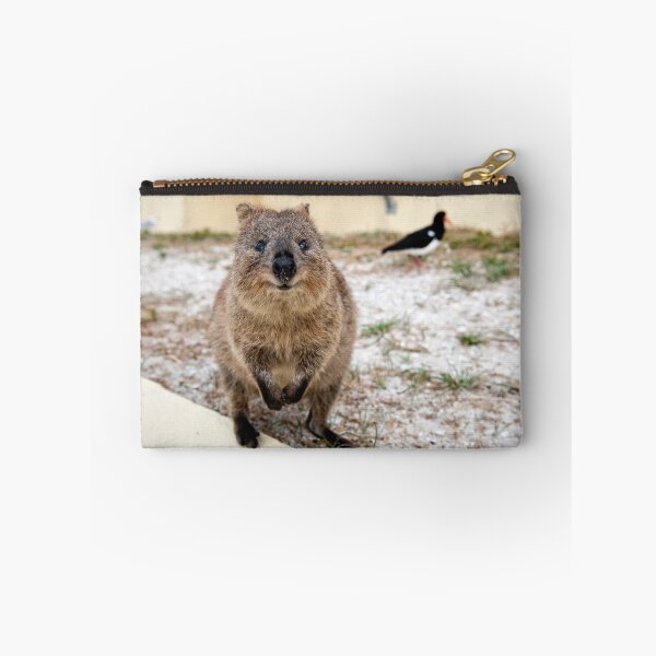Item preview, Quokka and friends designed and sold by Colin White.