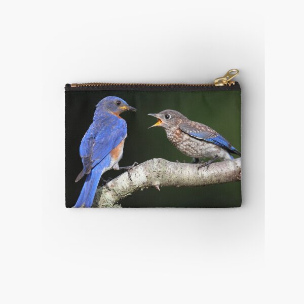 Item preview,  Rhode Island

Canon 1D Mark IV
800mm designed and sold by Rob Lavoie.