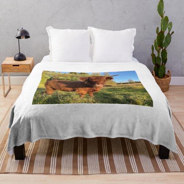 Item preview, Scottish Highland Cattle Calf 2975 designed and sold by SaarelaHighland.