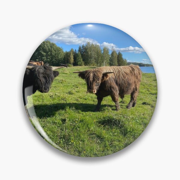 Artikelvorschau, Scottish Highland Cattle Calves 2976 entworfen und verkauft von SaarelaHighland.