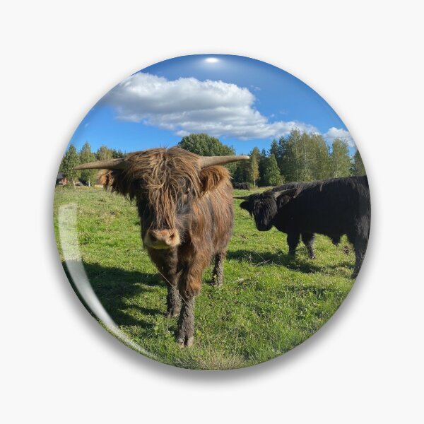 Artikelvorschau, Scottish Highland Cattle Calves 2977 entworfen und verkauft von SaarelaHighland.