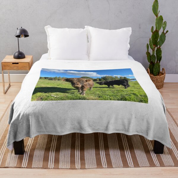 Item preview, Scottish Highland Cattle Calves 2977 designed and sold by SaarelaHighland.