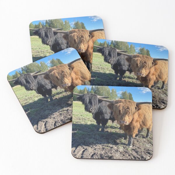 Item preview, Scottish Highland Cattle Calves 2978 designed and sold by SaarelaHighland.