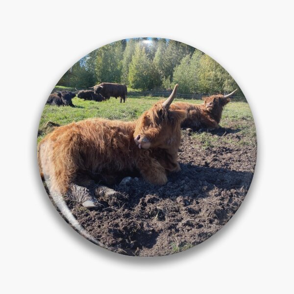 Artikelvorschau, Scottish Highland Cattle Calves 2981 entworfen und verkauft von SaarelaHighland.