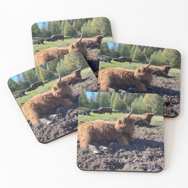 Item preview, Scottish Highland Cattle Calves 2981 designed and sold by SaarelaHighland.