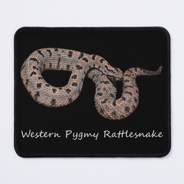 Item preview, Western Pygmy Rattlesnake designed and sold by Paul-Prints.