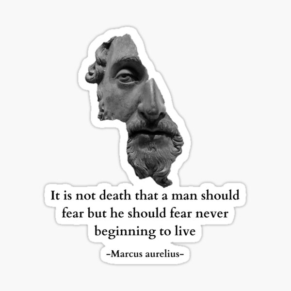 you-should-not-fear-death-you-should-fear-never-beginning-to-live