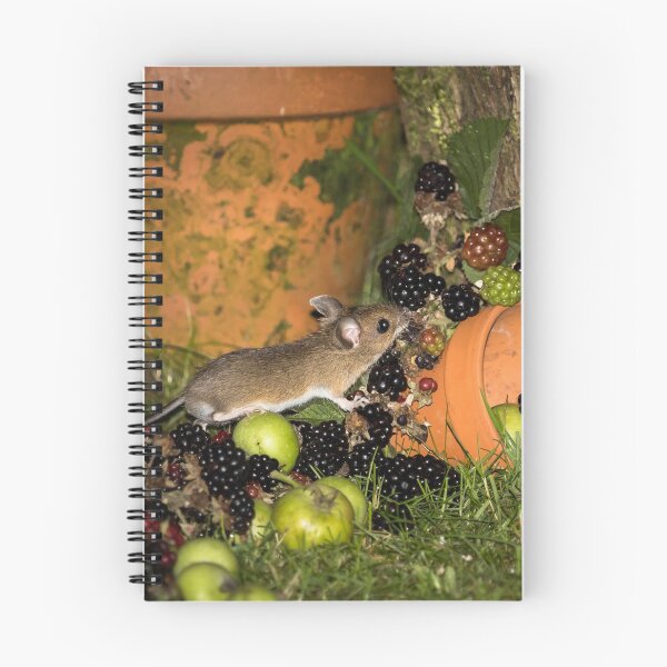 Item preview, Wood Mouse and Blackberries designed and sold by Jane Stanley Photography.