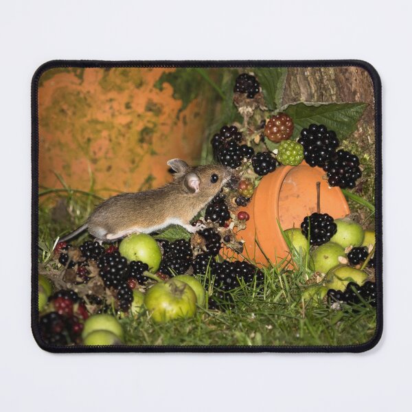 Item preview, Wood Mouse and Blackberries designed and sold by Jane Stanley Photography.