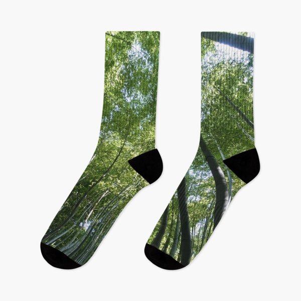 Item preview, Hokokuji Bamboo Forest designed and sold by Aooms123.