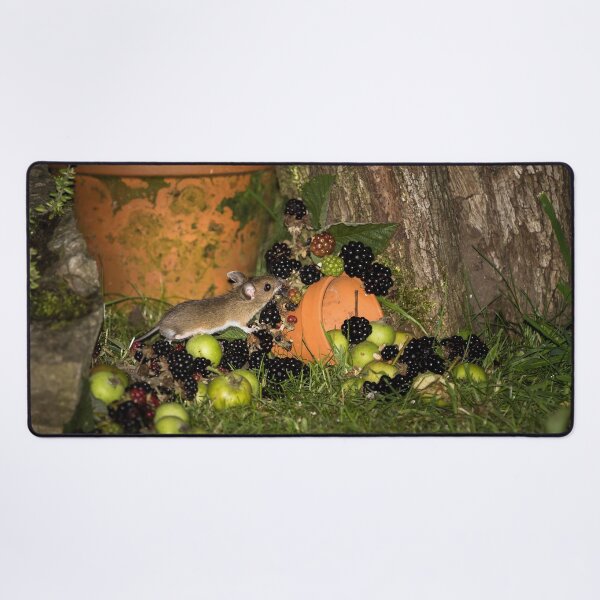 Item preview, Wood Mouse and Blackberries designed and sold by Jane Stanley Photography.