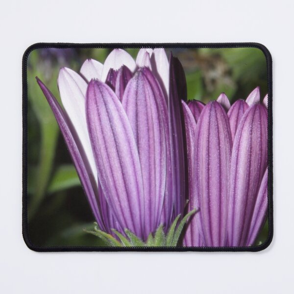 Item preview, Open to the light designed and sold by Kiran-Fine-Art.