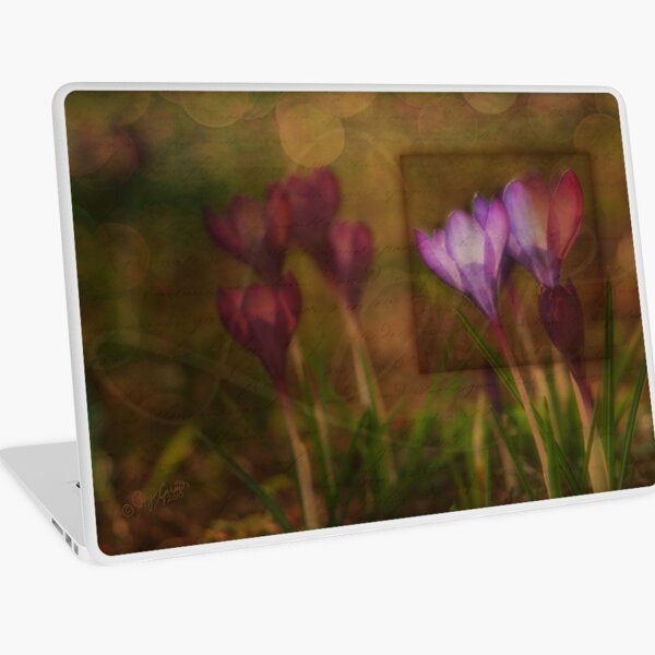 When the Light Paints the Flowers Laptop Skin