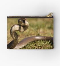 Eastern Brown Snake Studio Pouch