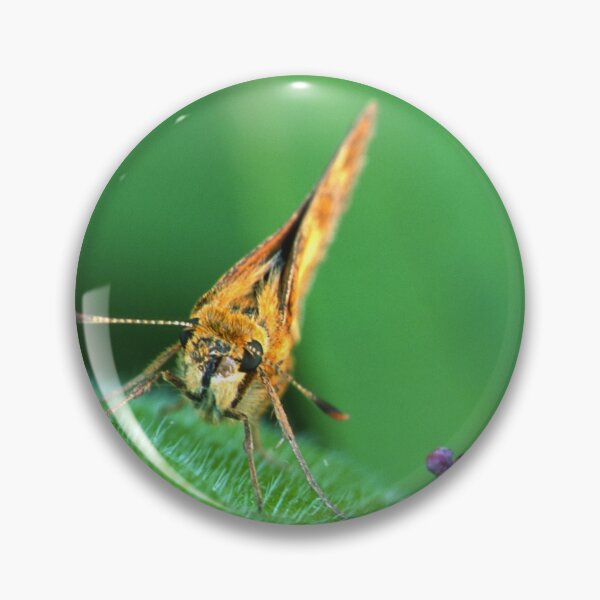 Item preview, Painted Lady Says Hello designed and sold by Bill Spengler's Photographic Thoughts.