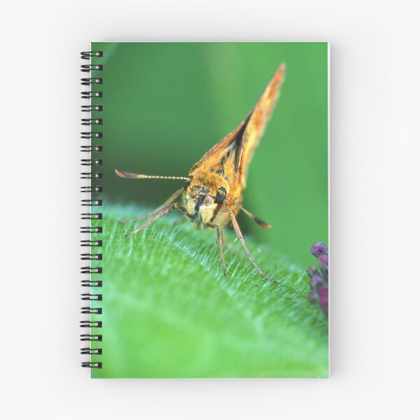 Item preview, Painted Lady Says Hello designed and sold by Bill Spengler's Photographic Thoughts.