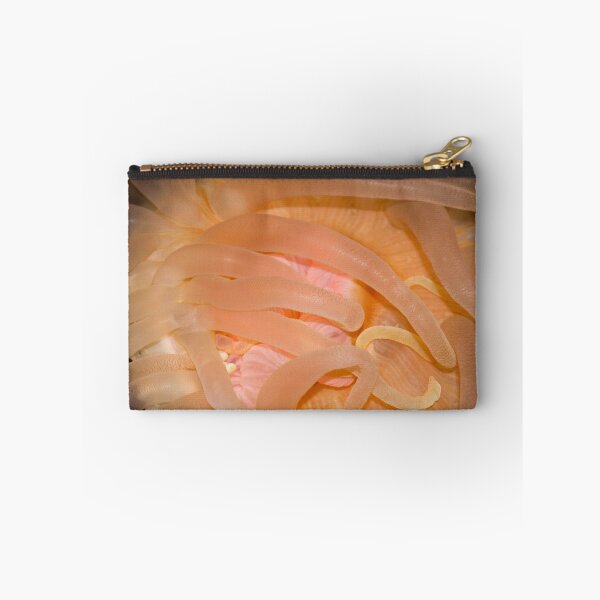 Item preview, Wonders Of The Deep designed and sold by Melissa Quigley.