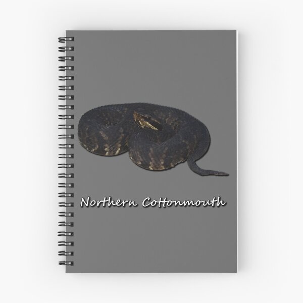 Item preview, Northern Cottonmouth designed and sold by Paul-Prints.