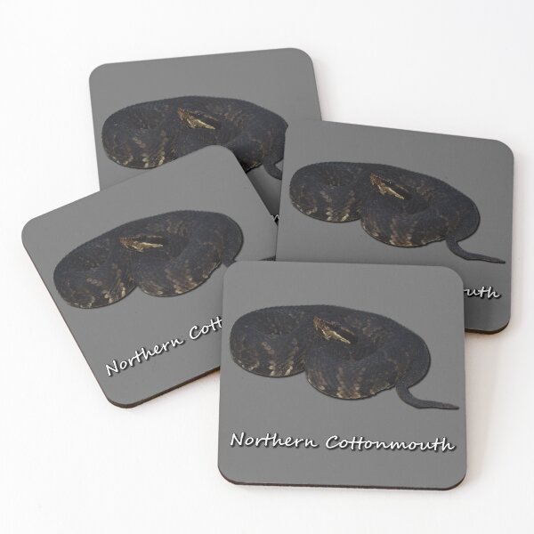 Item preview, Northern Cottonmouth designed and sold by Paul-Prints.