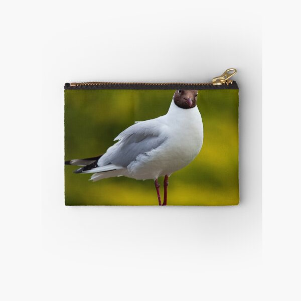 Item preview, Black Headed Gull designed and sold by Stuart Robertson Reynolds.