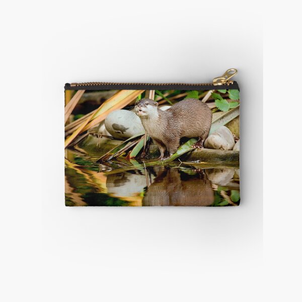 Item preview, Oriental Small-clawed Otter designed and sold by Stuart Robertson Reynolds.