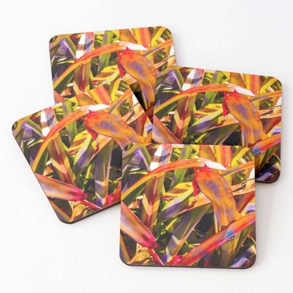Item preview, Bromeliad Flames designed and sold by Vanwizle.