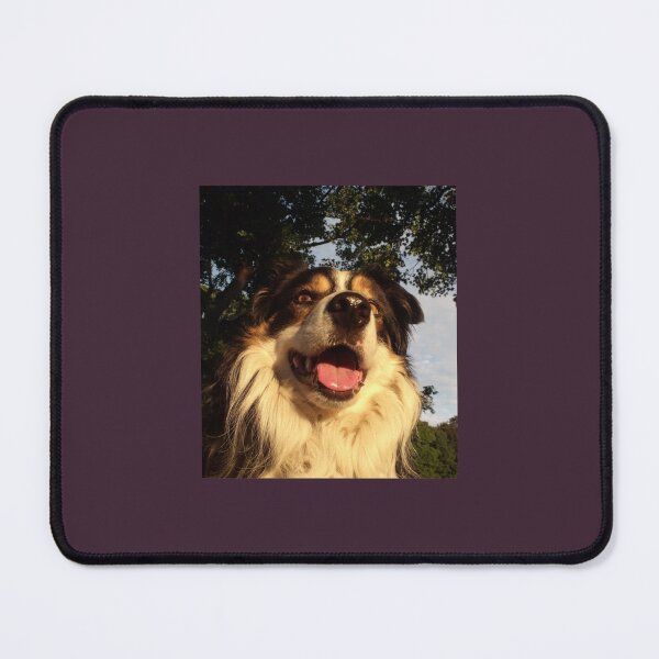 Item preview, All Creatures Great and Small.   designed and sold by SankofaGoods.