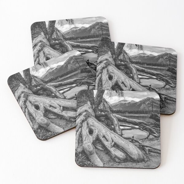 Item preview, Old Tree Roots Above Ground designed and sold by Sal Augruso.