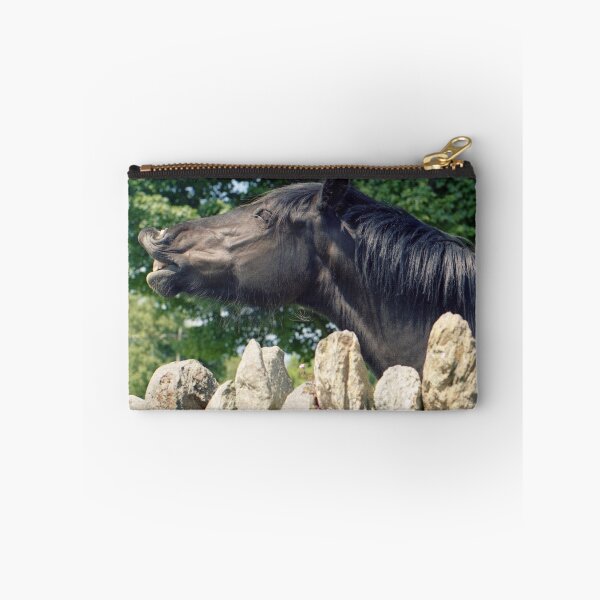 Item preview, Neigh!!!!! designed and sold by Michael Haslam.