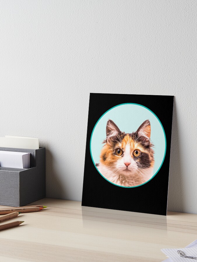 cat stickers cats funny stickers Art Board Print for Sale by alaechamlal