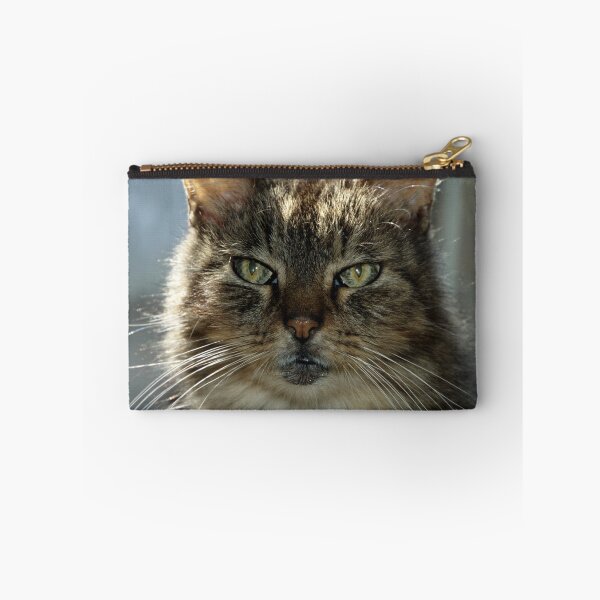 Item preview, Daffy designed and sold by Barry Doherty.