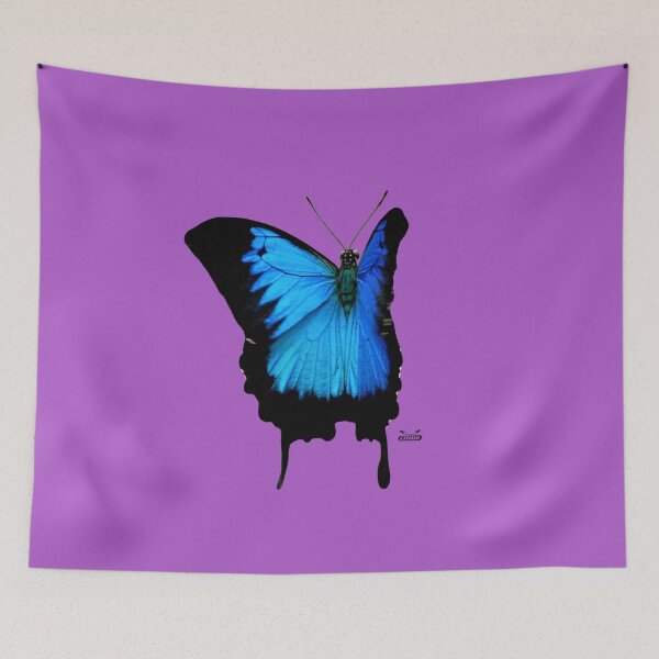Item preview, Morpho Butterfly on Violette / Swiss Artwork Photography designed and sold by Raphael Wolf.