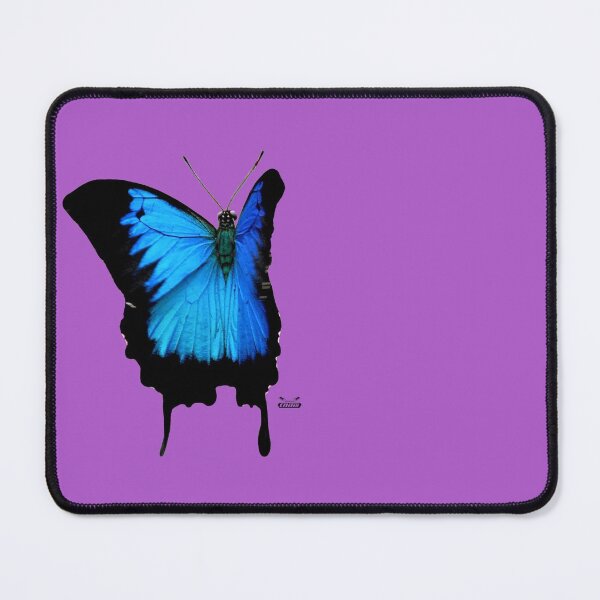 Item preview, Morpho Butterfly on Violette / Swiss Artwork Photography designed and sold by Raphael Wolf.