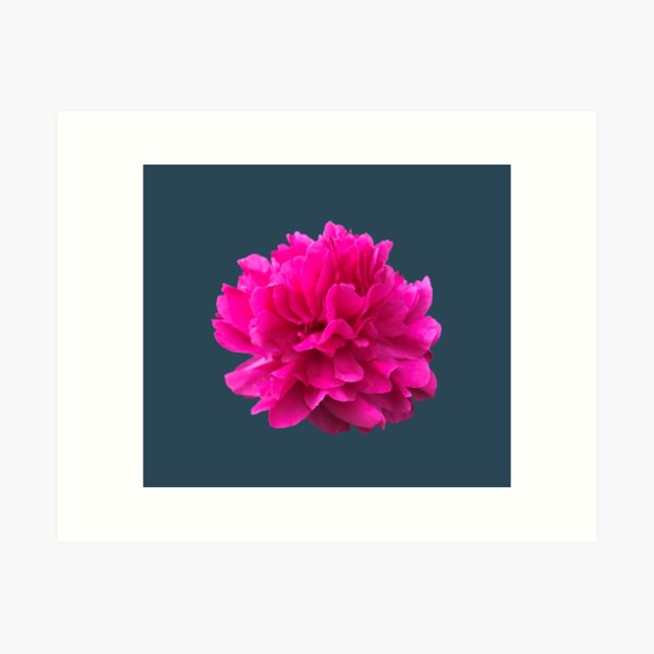 Item preview, Bright Pink Peony Close-up designed and sold by InalterataArt.