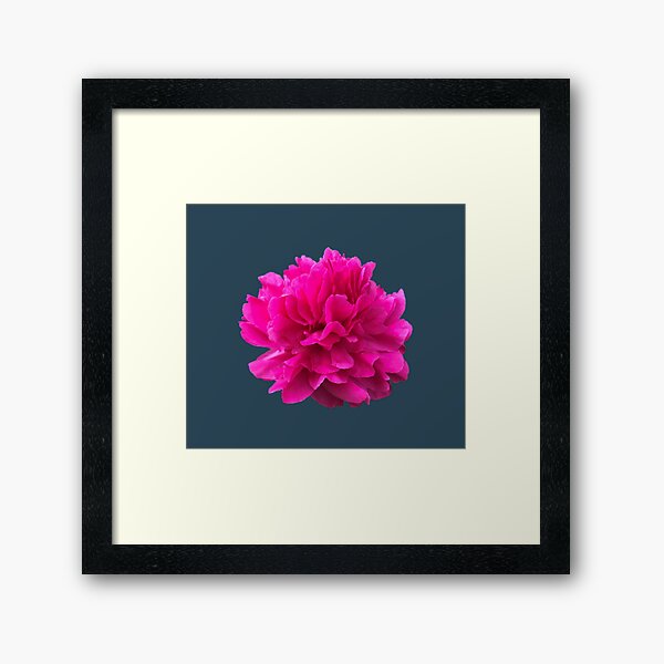 Item preview, Bright Pink Peony Close-up designed and sold by InalterataArt.