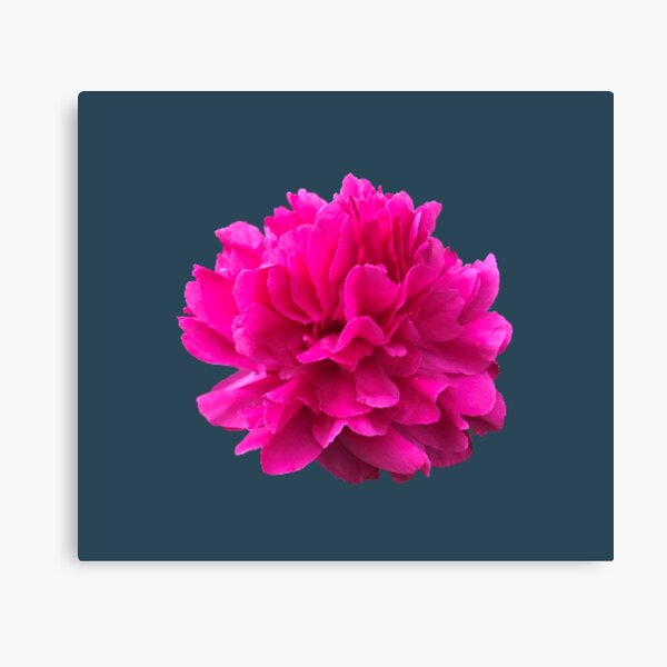 Item preview, Bright Pink Peony Close-up designed and sold by InalterataArt.