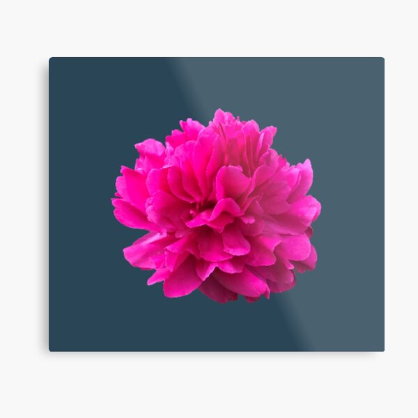 Item preview, Bright Pink Peony Close-up designed and sold by InalterataArt.