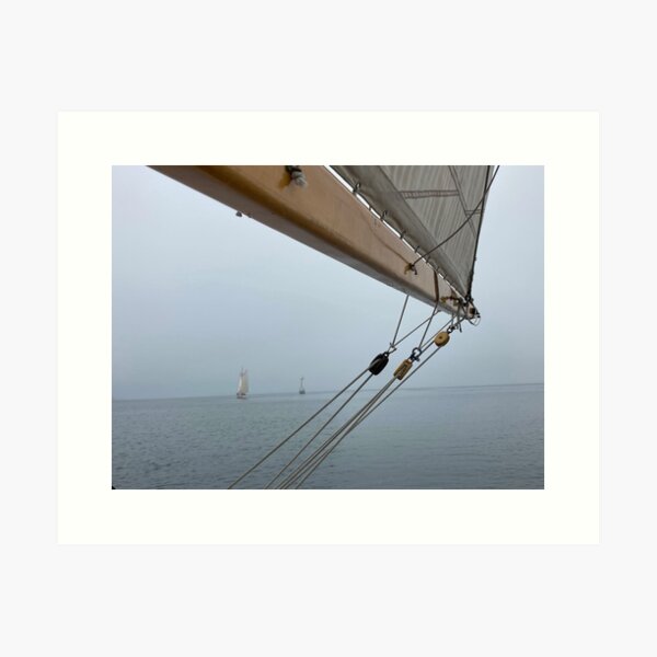 Fog from Bagheera Art Print
