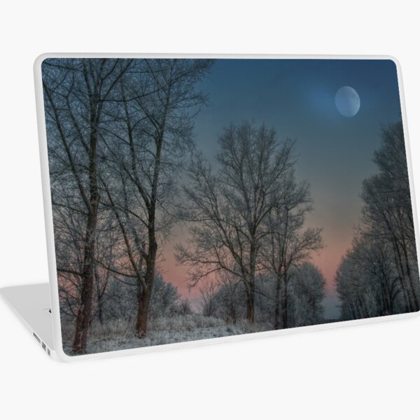 Christmas way Laptop Skin