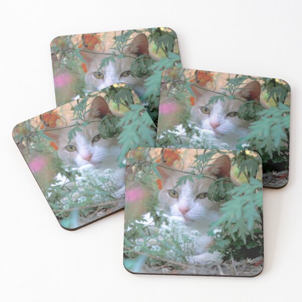 Item preview, Buddy in Hiding designed and sold by Bill Spengler's Photographic Thoughts.