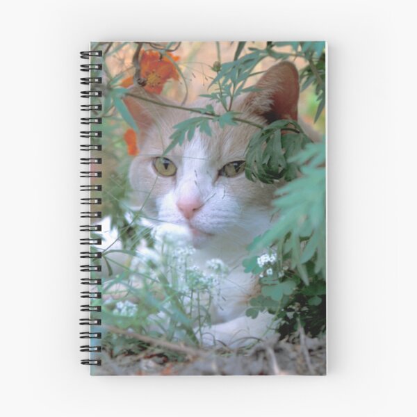 Item preview, Buddy in Hiding designed and sold by Bill Spengler's Photographic Thoughts.