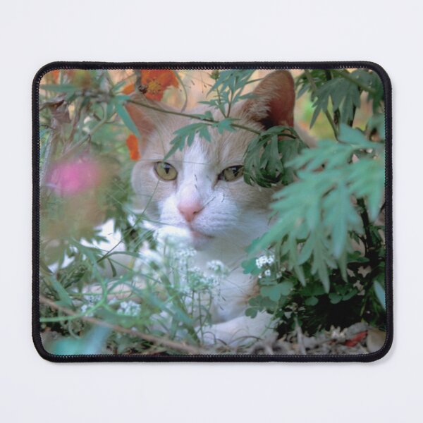 Item preview, Buddy in Hiding designed and sold by Bill Spengler's Photographic Thoughts.
