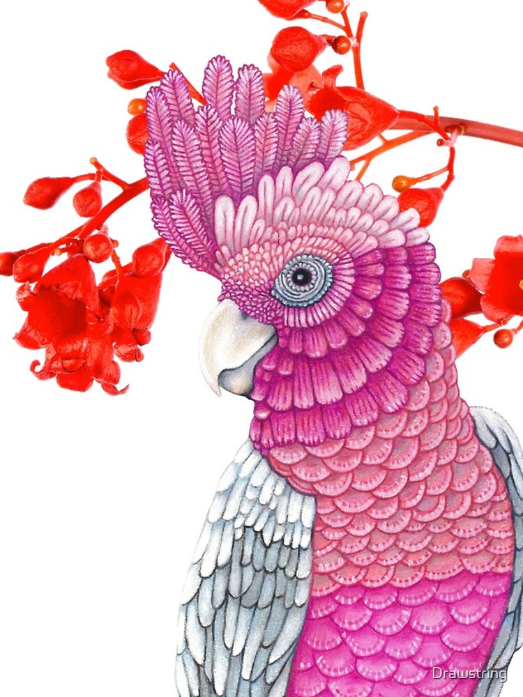Thumbnail 4 of 4, iPhone Case, Galah designed and sold by Drawstring.