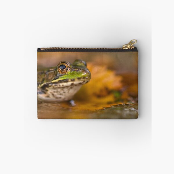 Item preview, Foliage Frog designed and sold by Bill Maynard.