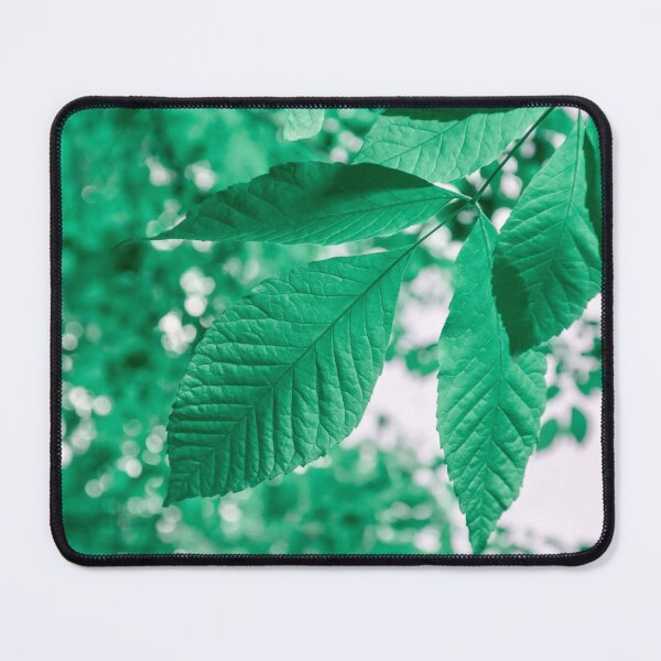 Item preview, Dreaming of Summer in Paolo Veronese Greens - Downwards Right  designed and sold by Georgia Mizuleva.