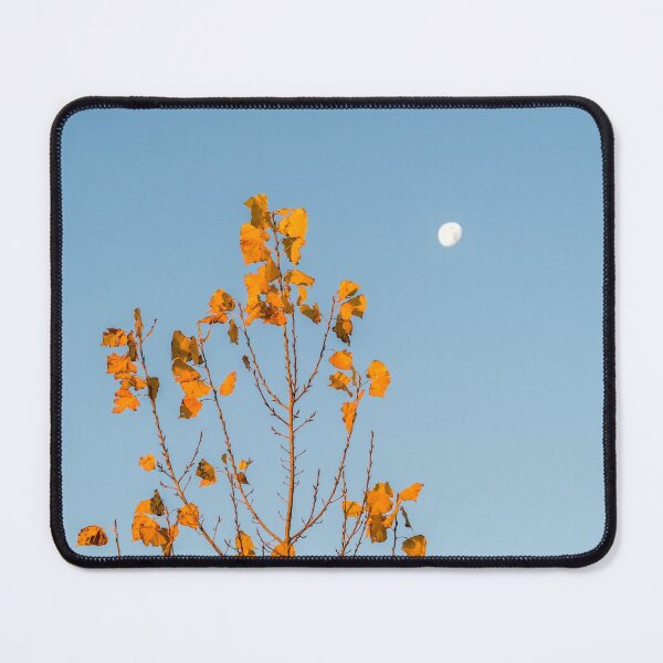 Item preview, Golden Aspen Filigree - Sunrise on One Side Moonset on the Other designed and sold by Georgia Mizuleva.