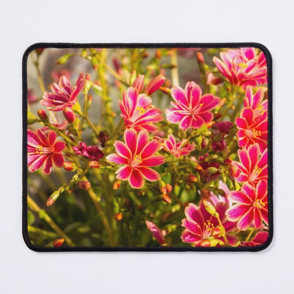 Item preview, Succulent Blooms in Glossy Razzle-Dazzle Pink designed and sold by Georgia Mizuleva.