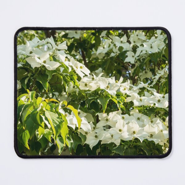 Item preview, Because Spring - Dogwood Floral Ribbons designed and sold by Georgia Mizuleva.