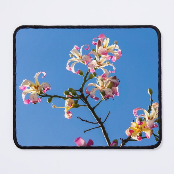 Item preview, Splendid Exotic Blooms - Flowering Silk Floss Tree Ceiba Speciosa designed and sold by Georgia Mizuleva.